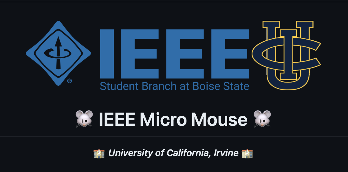 Micro Mouse